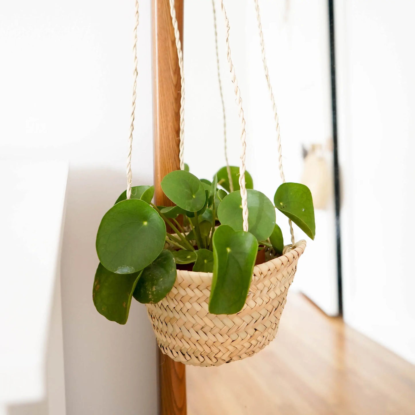 Straw Plant Hanger